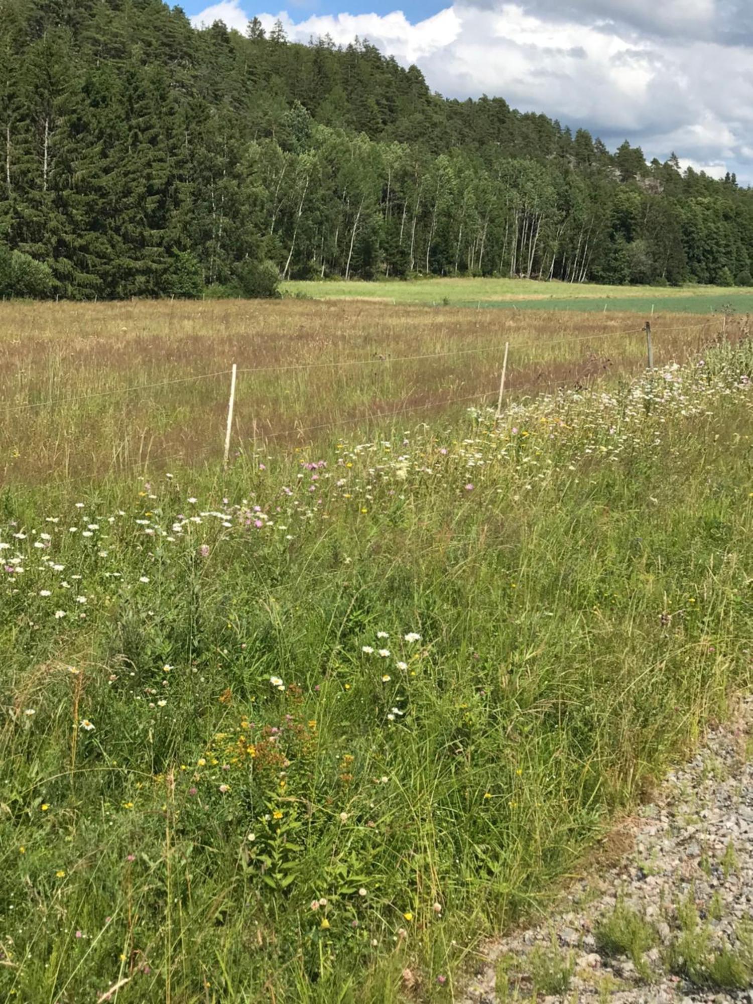 Charmigt Aeldre Hus, Laddbox 22 Kw, 5 Bil-Minuter Till Bad Strömstad Exterior foto
